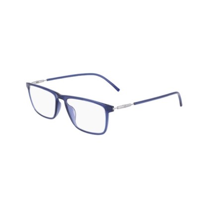 Мъжка рамка ZEISS ZS22506 412