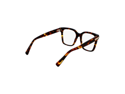 Мъжка рамка Salvatore Ferragamo SF3009-242