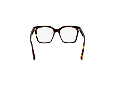Мъжка рамка Salvatore Ferragamo SF3009-242