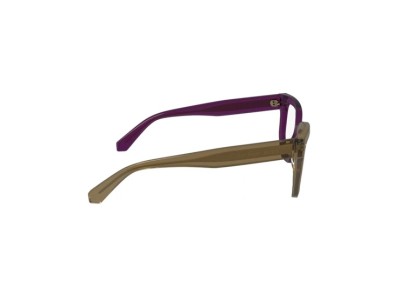 Унисекс рамка Calvin Klein Jeans CKJ24615-208