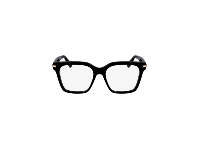 Мъжка рамка Salvatore Ferragamo SF3009-001