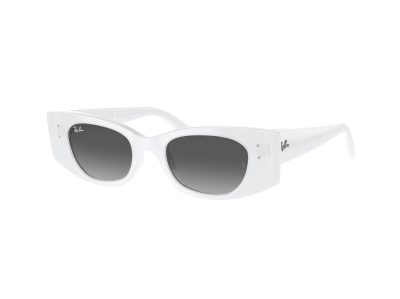 Дамски слънчеви очила RAY-BAN 0RB4427-675911-49