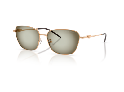 Дамски слънчеви очила EMPORIO ARMANI EA2170-342713-57