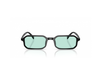 Мъжки слънчеви очила EMPORIO ARMANI EA4253U-501765-54